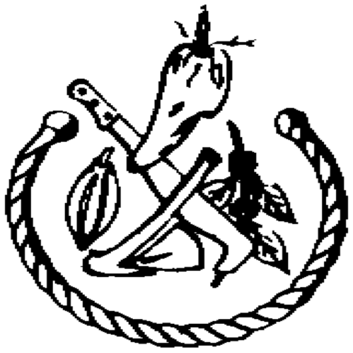 Logo Sinzénou Djanfouè